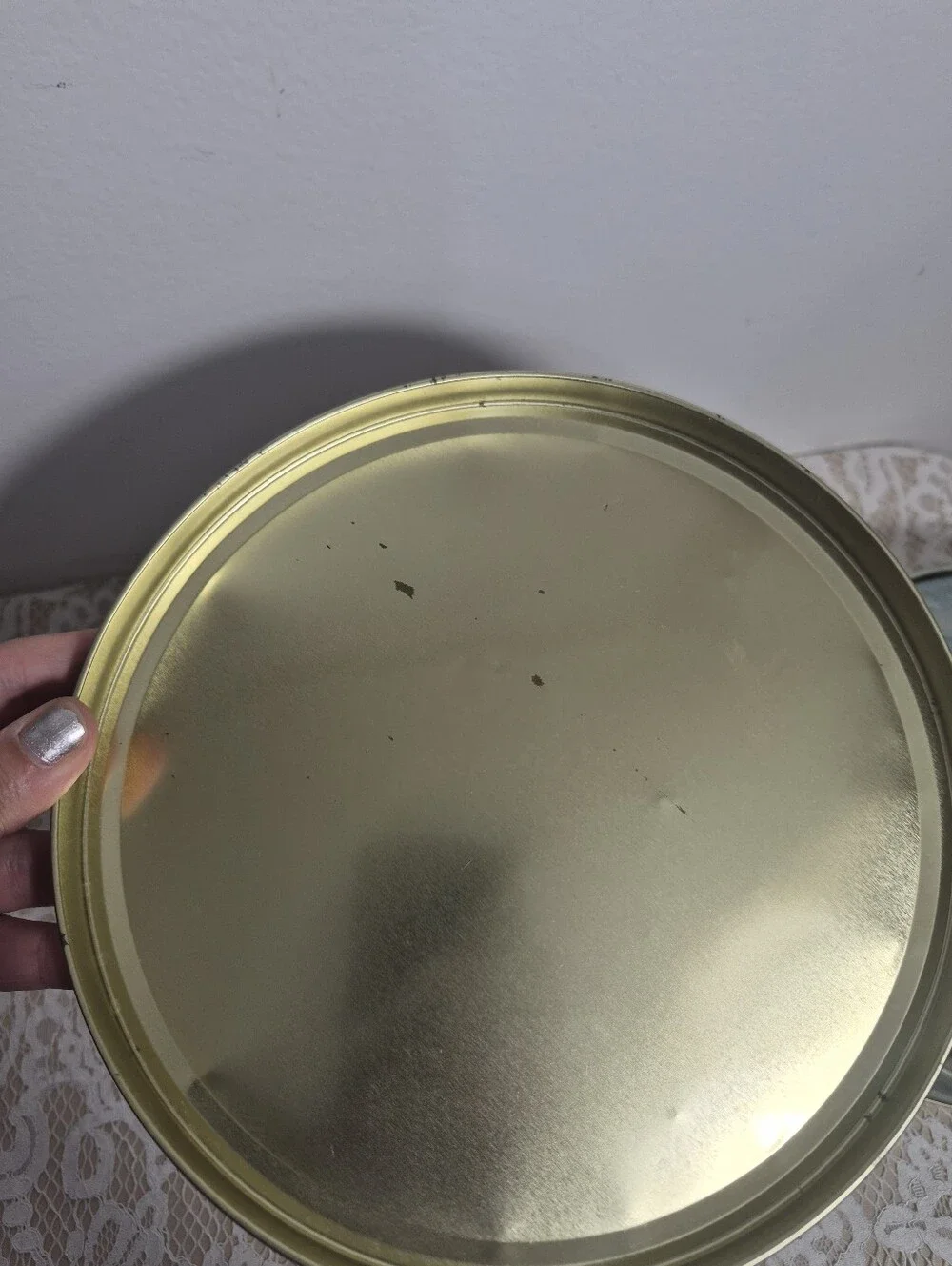 Goose Nesting Tins